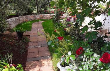 Apartments with a parking space Sosi, Umag - 15967 - Photo 8