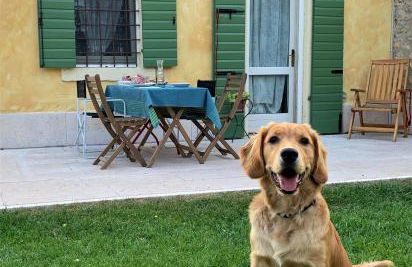 A casa di Hugo - Relais Valpolicella - Photo 8