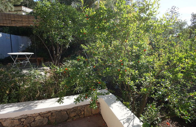 Nut House Apartment Near the sea in a Villa With Garden - Foto 17