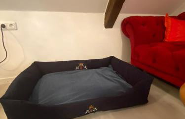 Stilvolle Ferienwohnung unter Reet in Windbergen - Foto 10