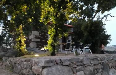 Casa do Feitor - Douro - Quinta da Cabrida - Foto 51