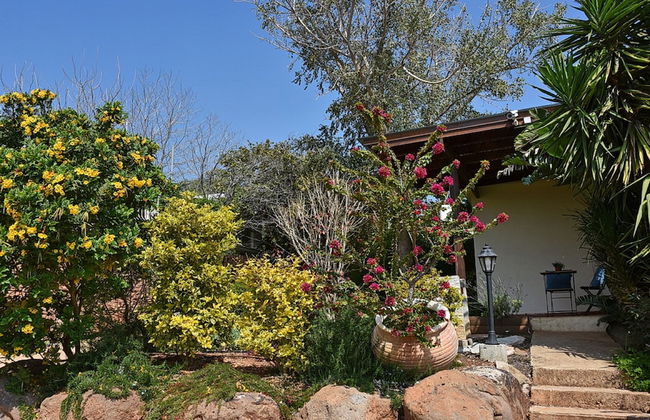 Mul Kineret Suites - Photo 34