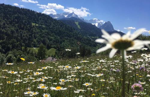 Haus Niklos - Wank - Foto 24