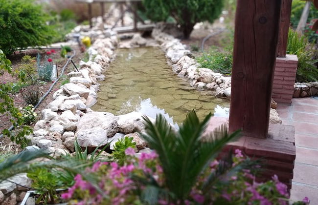 Cortijo Veracruz - Photo 29