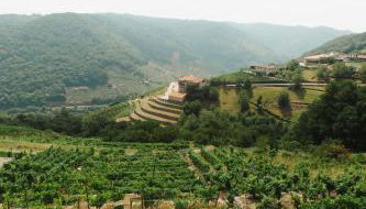 Apedeceo Belesar Villa, Ribeira Sacra, Galicia - Foto 5, Garden view