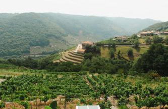 Apedeceo Belesar Villa, Ribeira Sacra, Galicia - Foto 5