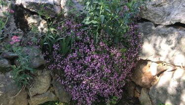 La Casa di Franco - Foto 3