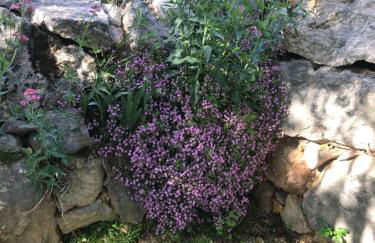 La Casa di Franco - Photo 3