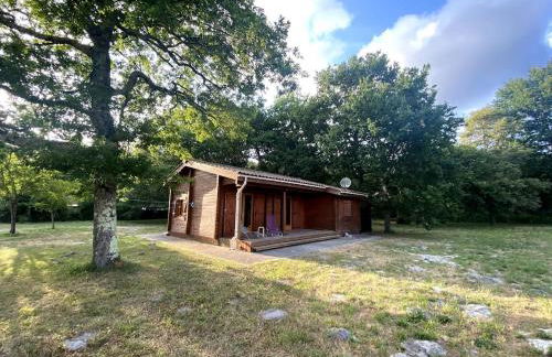 Chalet en bois sur grand parc arboré tout proche de l océan - Foto 10