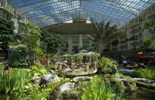 Serene Retreat in Hermitage - Foto 26