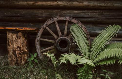 Chatka w lesie - Foto 40