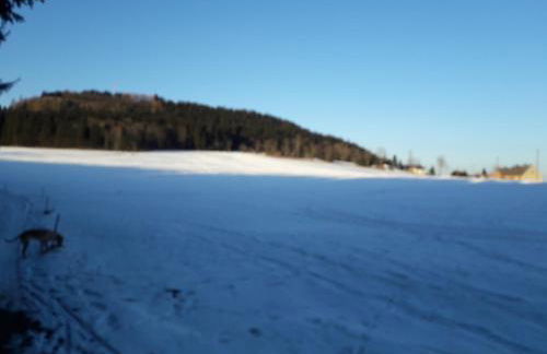Fewo mit Fichtelberg und Keilbergblick - Foto 16