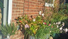 Garden Apartment Morpeth- with lockable bike storage! - Foto 3