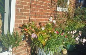 Garden Apartment Morpeth- with lockable bike storage! - Foto 3