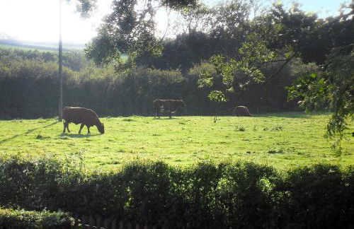 White Cottage - Foto 7