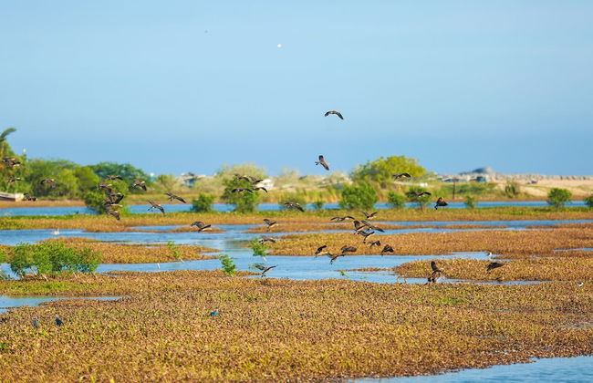 Ocean Cottage Kalametiya - Photo 16