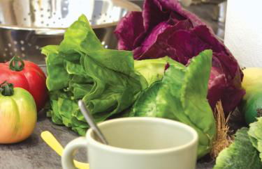 Casa Koala VT14462 - Foto 11