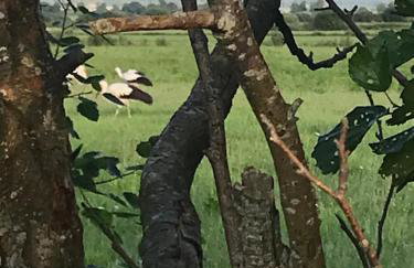 Dzika Plaża Wierzchucino - Foto 21