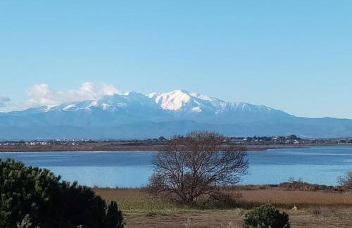 Le Capestang - Foto 21