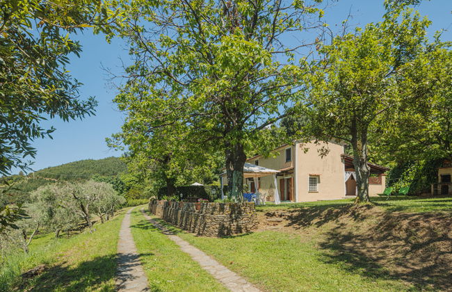 Di Carlino - Foto 21