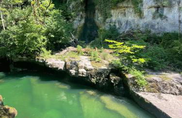 Balneo & Ciné - Jungle Touch - Direct Genève - Gare Bellegarde - Foto 17