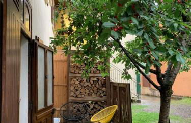 Charmant appartement sur cour, Le Cerisier - Foto 28