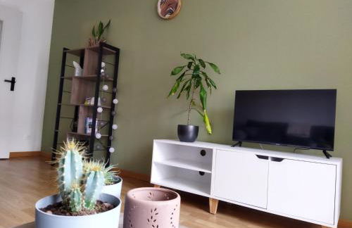 meublé du Plateau - Nancy centre Gare Tgv - Foto 9