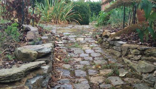 Ferienwohnung Vergissmeinnicht - Foto 4, Garden