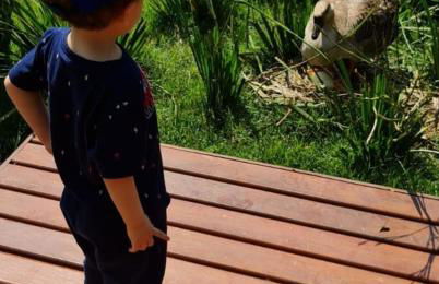 Fazenda Montanhes - Foto 53