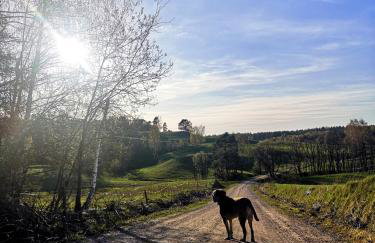 Bezkresne- Domy w Sidorach - Foto 50