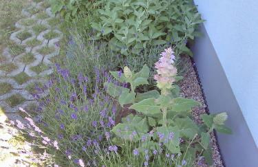 Das kleine Lavendelhaus - Foto 30