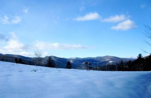 The Guest House at Sky Hollow - Foto 28