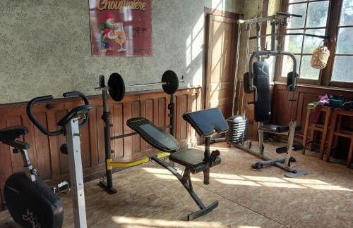 Grande maison familiale plein centre vieux Laval - Foto 3