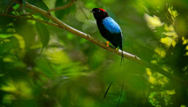 Excursão a Libéria e ao Parque Nacional Santa Rosa - Foto 5