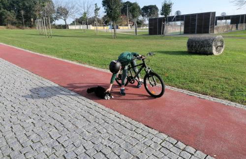 Refúgio Vale da Pipa - Foto 21