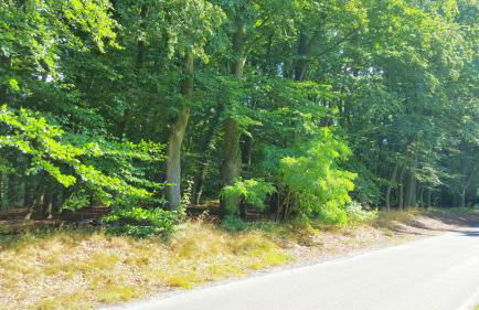 Ferienwohnung Strudthoff - Foto 16