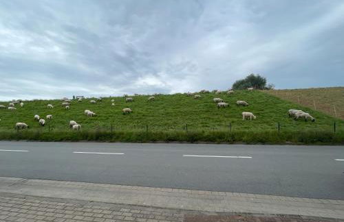 Nordwindoase - Photo 13