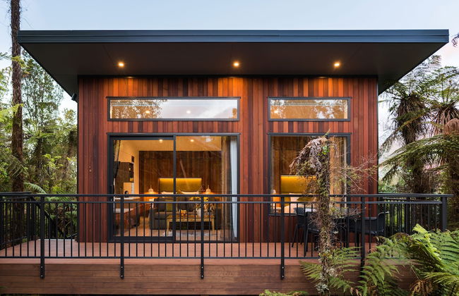 Rainforest Deluxe - Photo 14