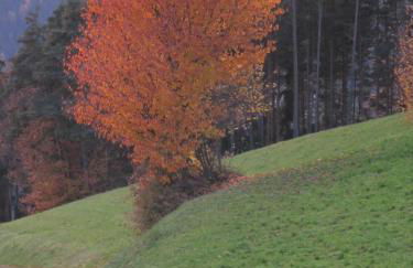 Brugger Hof - Foto 29