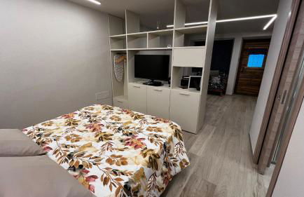 Le Petit Mont Blanc - Photo 26