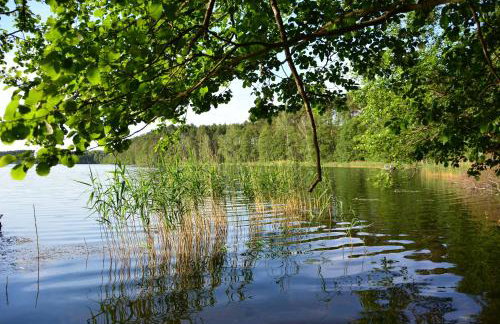 Sowa i Kumple - Foto 21