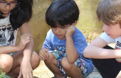 Hotel Fazenda Bonanza - Foto 51