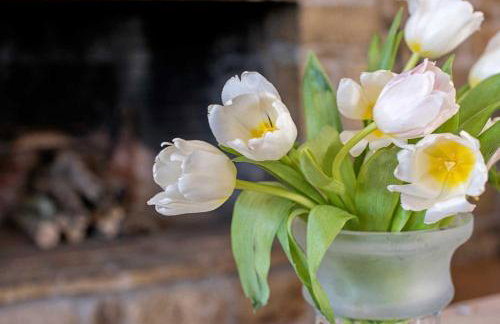 Kosta's House - Photo 15