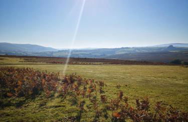 Pen-Rhos luxury glamping "Cuckoo's Nest" - Photo 11