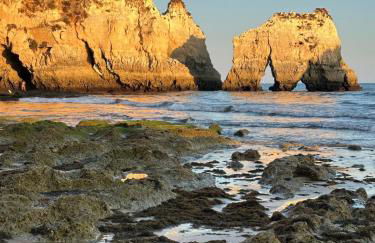 Grandpa's Nook - Torralta- Vista Mar - Photo 35