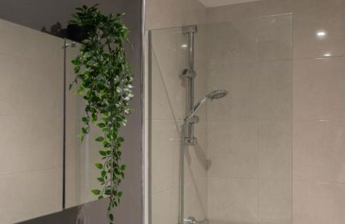 Central Belfast Apartments: 7 Camden Street - Foto 115