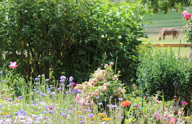 1 Fuchskreuzhof Comfortable Holiday Residence - Foto 36