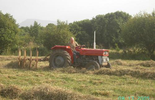 Tyddyn Perthi Farm - Foto 14
