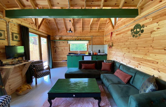 Elifin Gizli Bahçesi - Foto 6