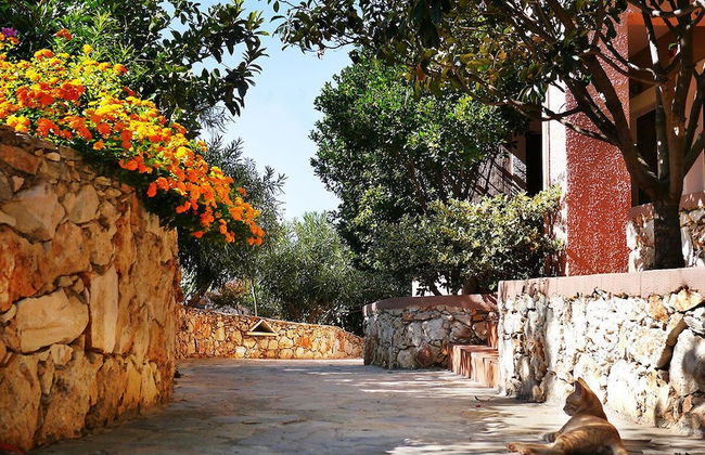 Areti Hotel - Foto 79